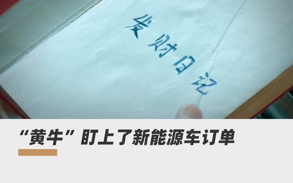 倒卖新能源车订单，他们赚了8倍 第1张
