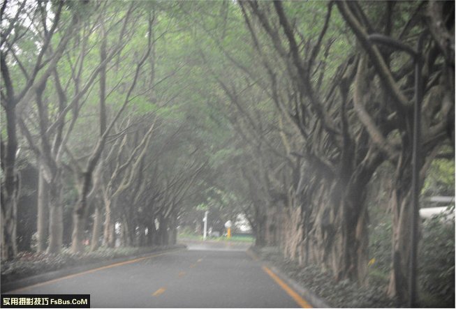 随机应变婚礼摄影师的实战分析 第3张