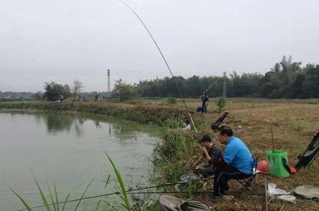 实在想不通，为什么会跑鱼 第1张