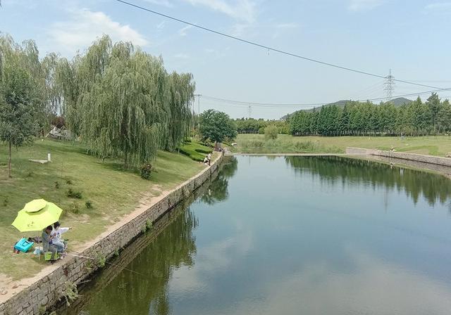 这5种情况，即使把鱼儿提出水面，也会鸡飞蛋打 第3张