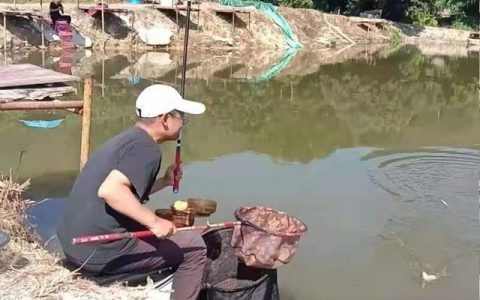 每次一跑鱼就很烦恼，谁知这破解招式，百用百灵