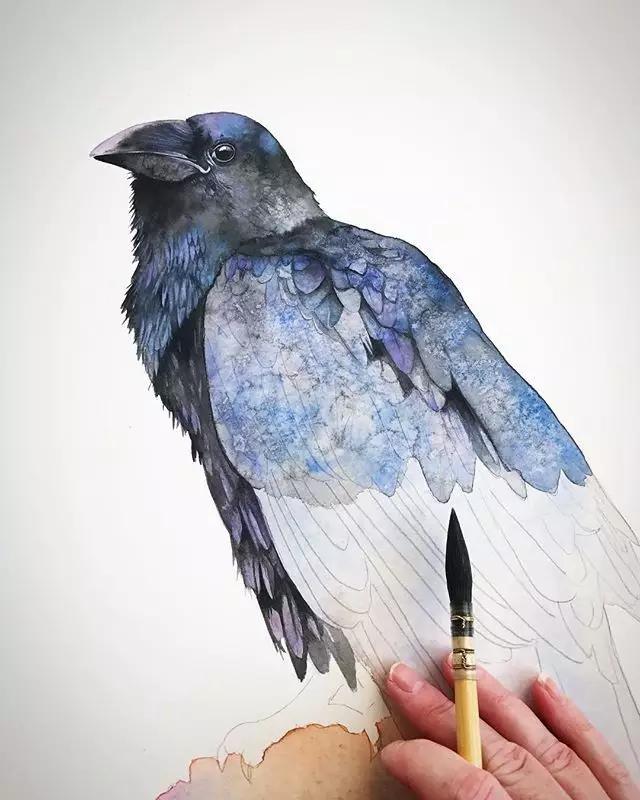 水彩画入门：做好细节，水彩动物画真的没那么难 第5张