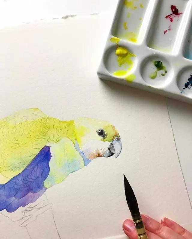 水彩画入门：做好细节，水彩动物画真的没那么难 第13张