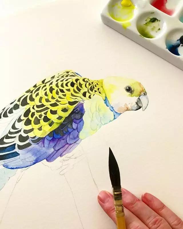 水彩画入门：做好细节，水彩动物画真的没那么难 第15张