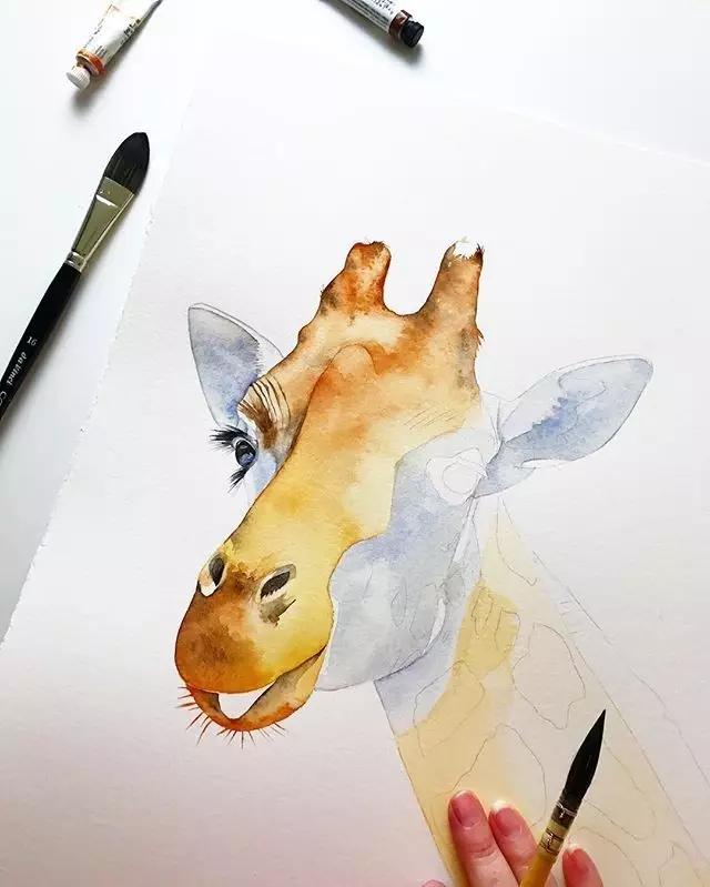 水彩画入门：做好细节，水彩动物画真的没那么难 第23张