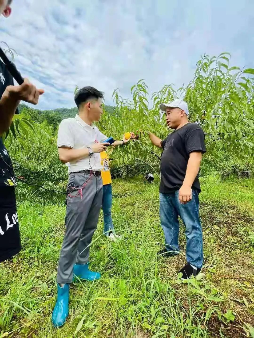 鸟哥笔记,直播带货,蝉妈妈数据,直播间,主播,抖音电商,抖音电商 第5张