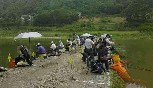 黑坑抢鱼时跑鱼脱钩，和调钓、钩号无关 第5张