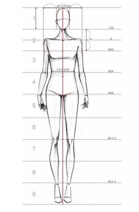 插画入门：画人体比例的几个重要技巧 第1张