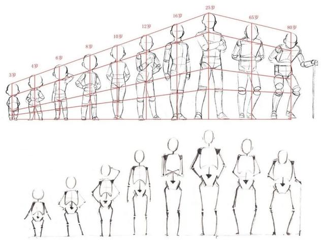 插画入门：画人体比例的几个重要技巧 第3张