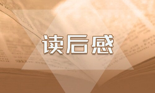 《云裳》初二读后感600字 第1张