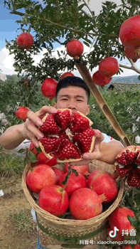 鸟哥笔记,直播带货,飞瓜会,明星带货,抖音电商,兴趣电商,抖音电商 第9张