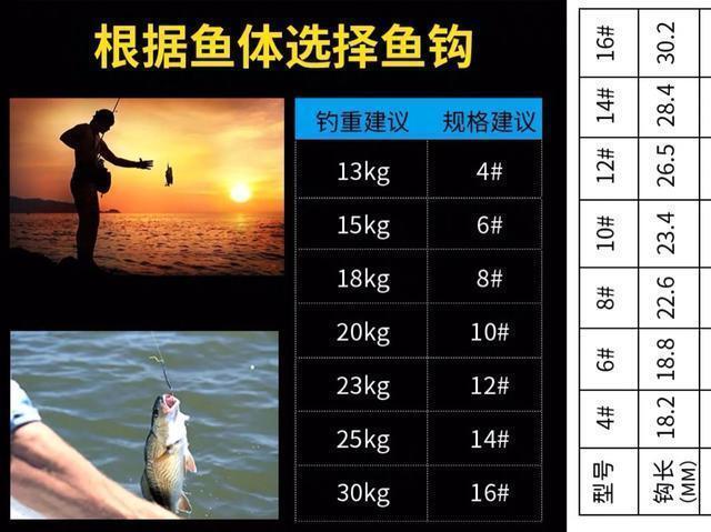 黑坑青鱼脱钩跑鱼的现象时有发生，原因有四点 第3张