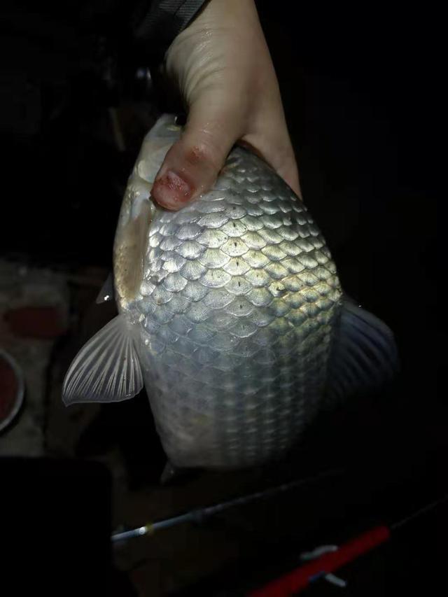 钓鱼如何避免钓到小鱼？这几个方法用好你钓的都是大的 第3张