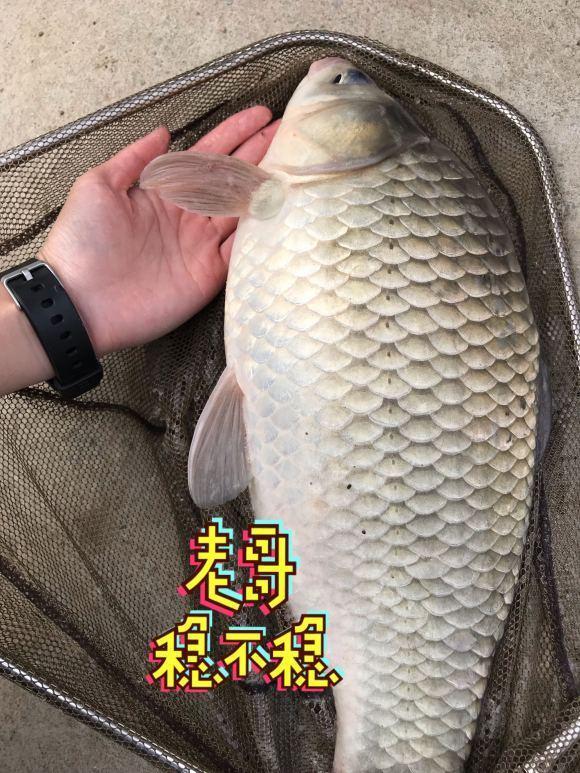 钓鱼如何避免钓到小鱼？这几个方法用好你钓的都是大的 第9张
