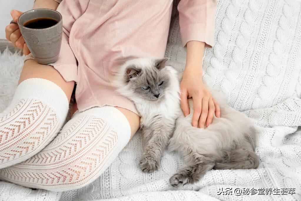 被猫抓伤多少天过危险期 第1张