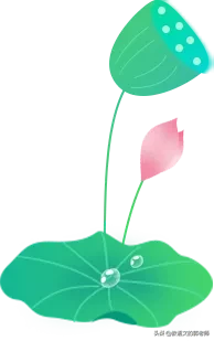 关于写荷花的诗句有哪些（描写荷叶的诗句古诗） 第1张