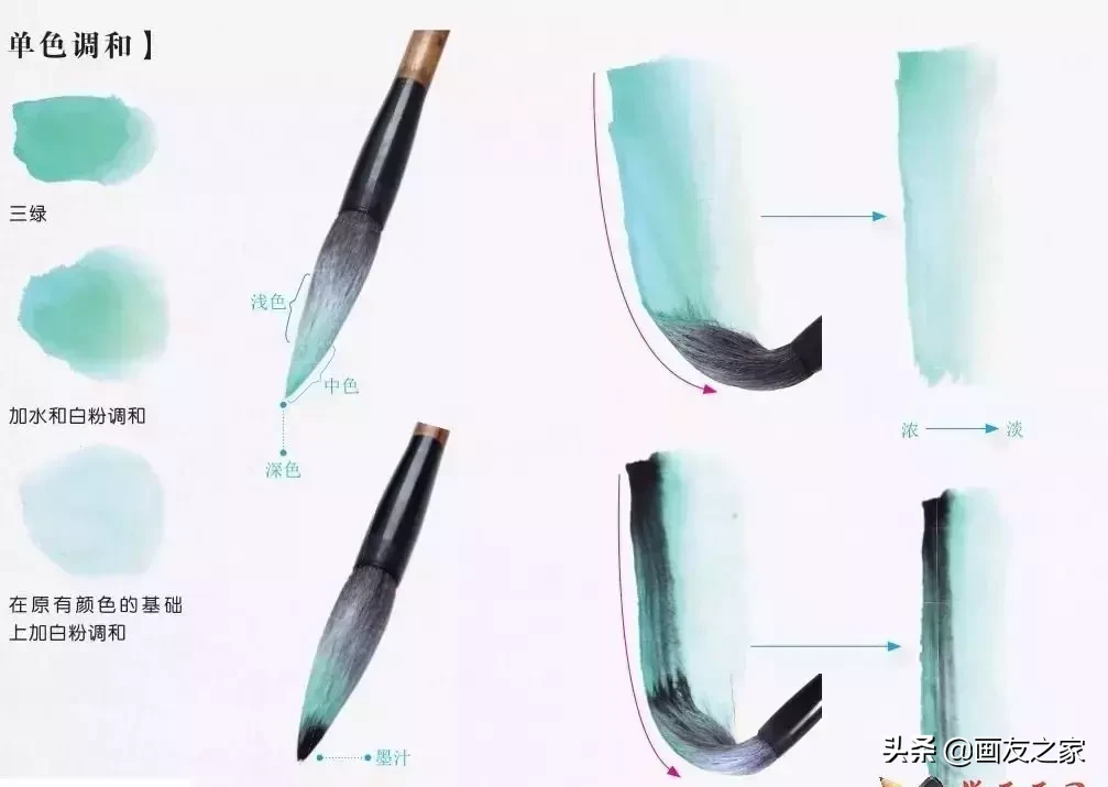 国画基础入门：怎么调墨和颜料调色 第25张
