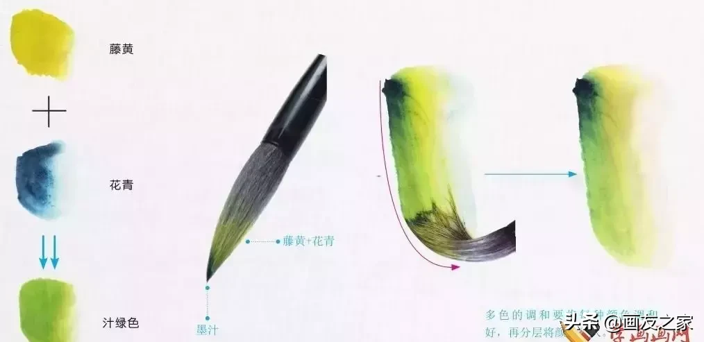 国画基础入门：怎么调墨和颜料调色 第27张