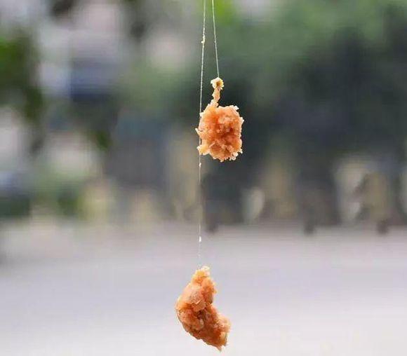又到小鱼闹窝疯狂季，这几招可轻松解决 第15张