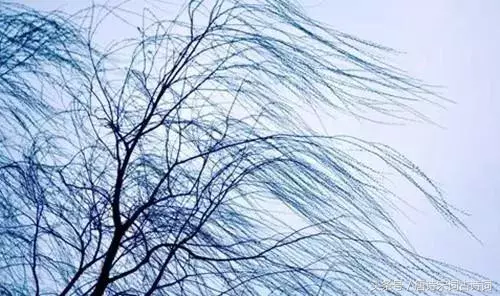 描写霜降的古诗有哪些（赞美霜的诗句古诗） 第13张