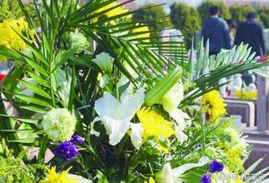 清明节扫墓用什么花最合适 第1张