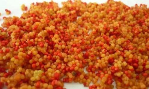 夏季野钓，绝杀小鱼闹窝的几种方法 第19张