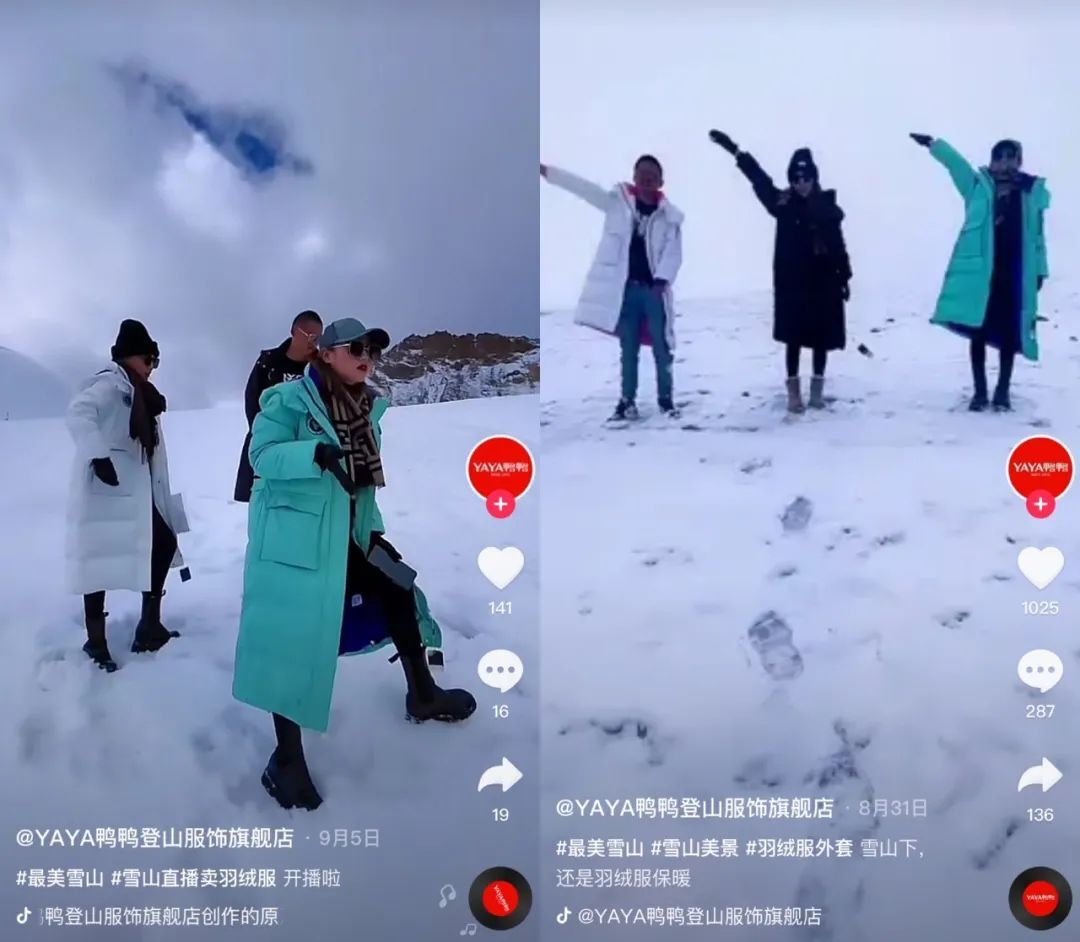鸟哥笔记,直播带货,十里村,直播间,主播,品牌自播,策略,直播带货,直播带货,策略 第3张
