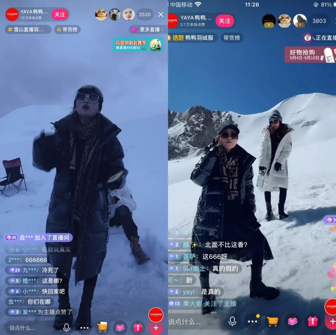鸟哥笔记,直播带货,十里村,直播间,主播,品牌自播,策略,直播带货,直播带货,策略 第5张