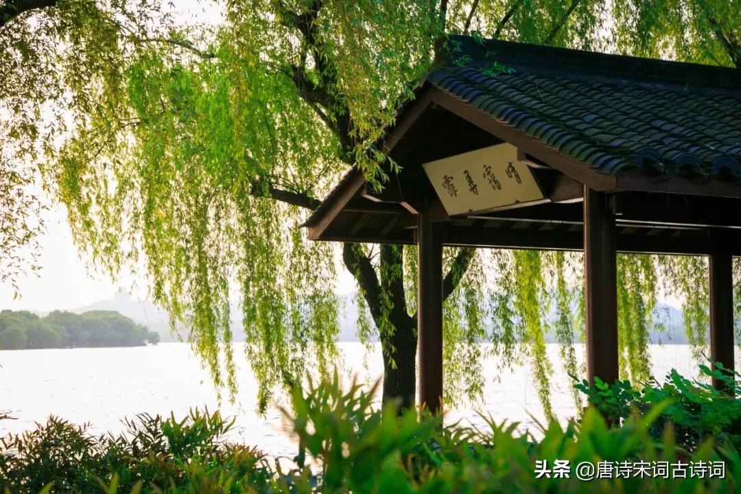 春分的诗词歌赋(春风最经典诗词) 第19张