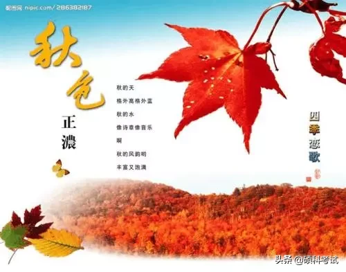 关于春夏秋冬的古诗（描写四季的古诗句） 第3张
