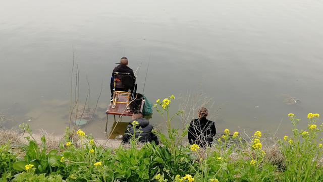 它让钓鱼人又爱又恨，详解麦穗鱼的钓法和应对办法 第15张