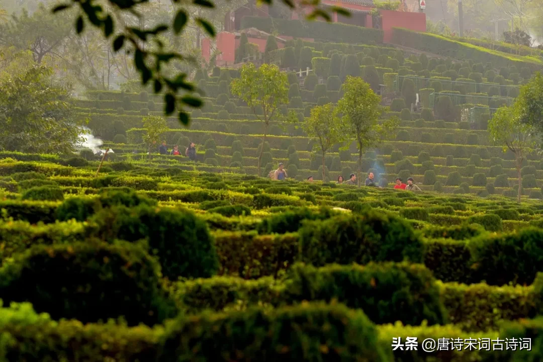 寒食古诗意思译文（寒食古诗的注释和译文赏析） 第7张