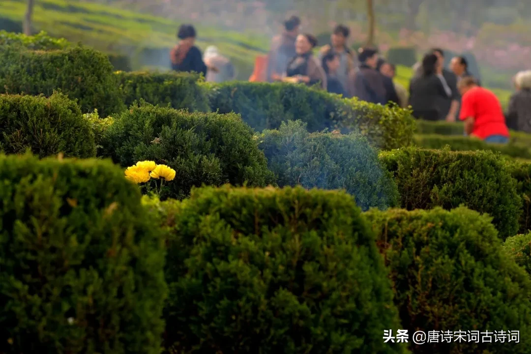寒食古诗意思译文（寒食古诗的注释和译文赏析） 第11张