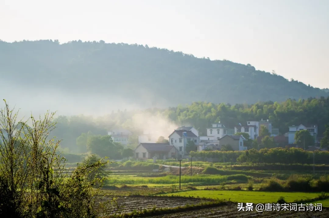 寒食古诗意思译文（寒食古诗的注释和译文赏析） 第13张