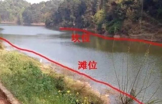 早春时期如何选钓点？搭配窝料与饵料、解决小鱼闹窝 第3张