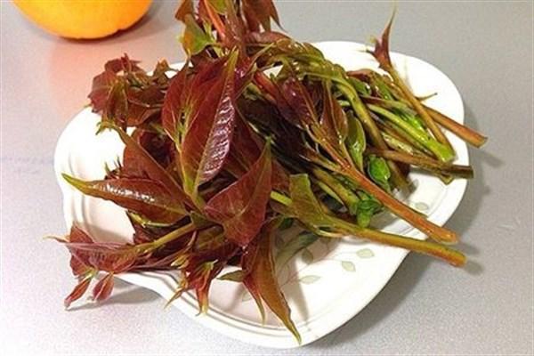 春天吃香椿，保健美容，健胃消食，但切忌要注意禁忌，早知早受益 第3张