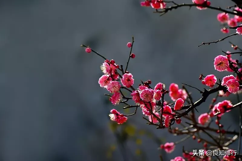 端午节的古诗诗句有哪些（关于端午节的诗词欣赏） 第3张