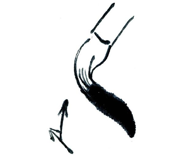 国画中的基本笔法和基本墨法介绍，新手收藏！ 第9张