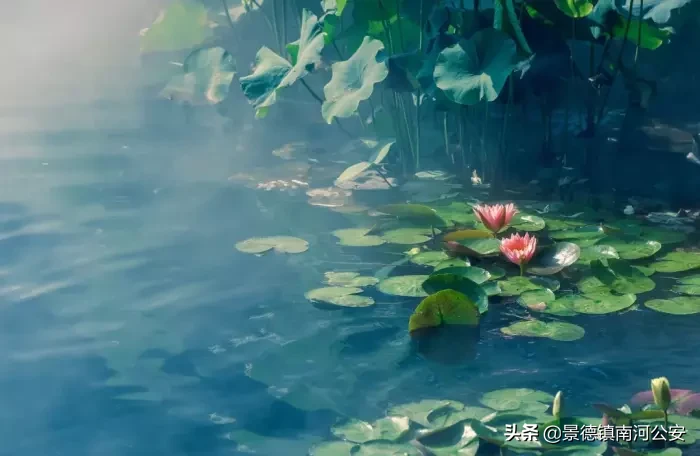 写夏天的古诗有哪些（关于描写夏天的古诗诗句分享） 第1张