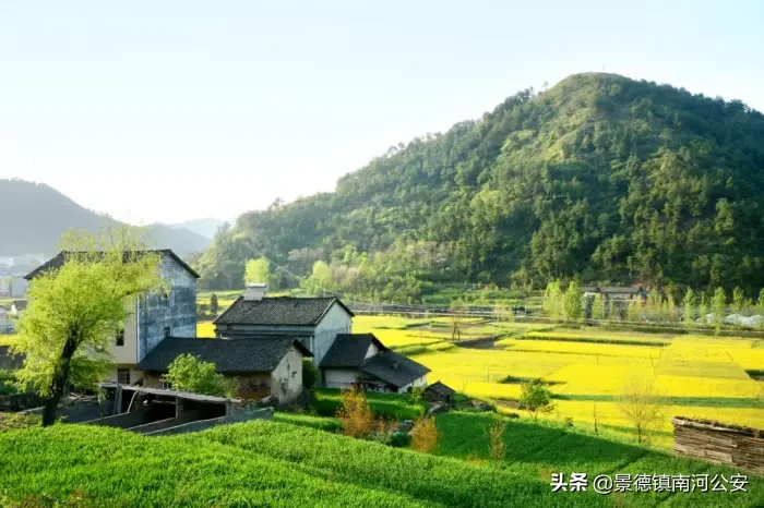 写夏天的古诗有哪些（关于描写夏天的古诗诗句分享） 第3张