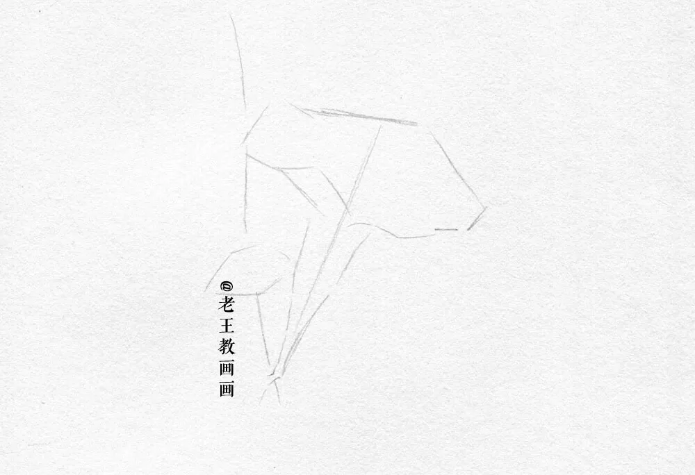 素描零基础小白也能画好画，这套详细的教程分享给你 第1张