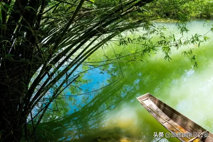 写夏天的古诗有哪些（关于描写夏天的古诗诗句分享） 第9张