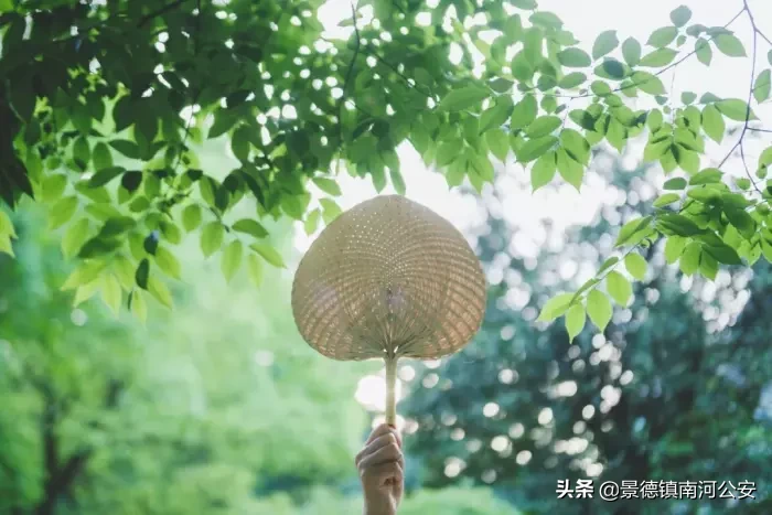 写夏天的古诗有哪些（关于描写夏天的古诗诗句分享） 第11张