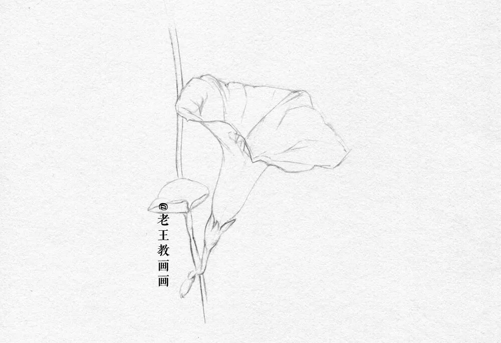 素描零基础小白也能画好画，这套详细的教程分享给你 第3张