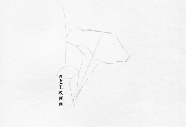 素描零基础小白也能画好画，这套详细的教程分享给你 第19张