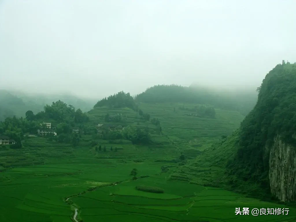 王维的山水田园诗（王维描写山水田园风光的古诗） 第7张