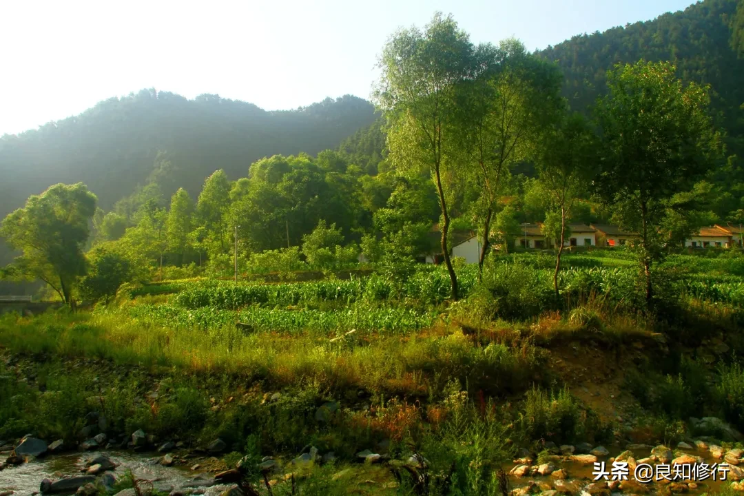 王维的山水田园诗（王维描写山水田园风光的古诗） 第13张
