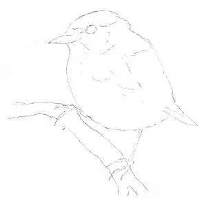 适合零基础学习的素描入门小教程 第5张