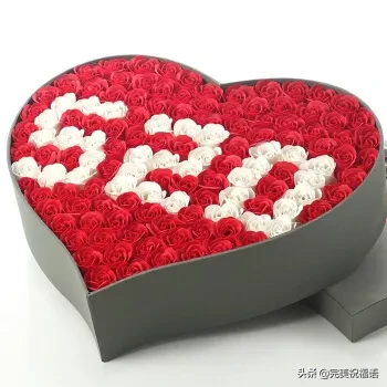 情人节祝福短信推荐（最新情人短信大全） 第11张