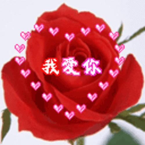 情人节祝福短信推荐（最新情人短信大全） 第13张